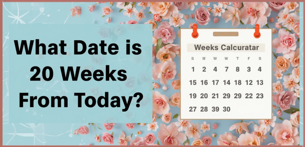 Today Using a Date Calculator
